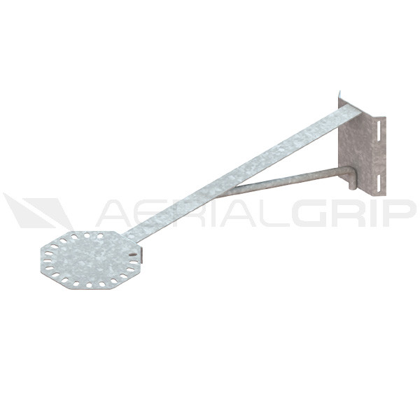 Brazo-Extensor-con-Disco.jpg Brazo Extensor con Disco - Image 1